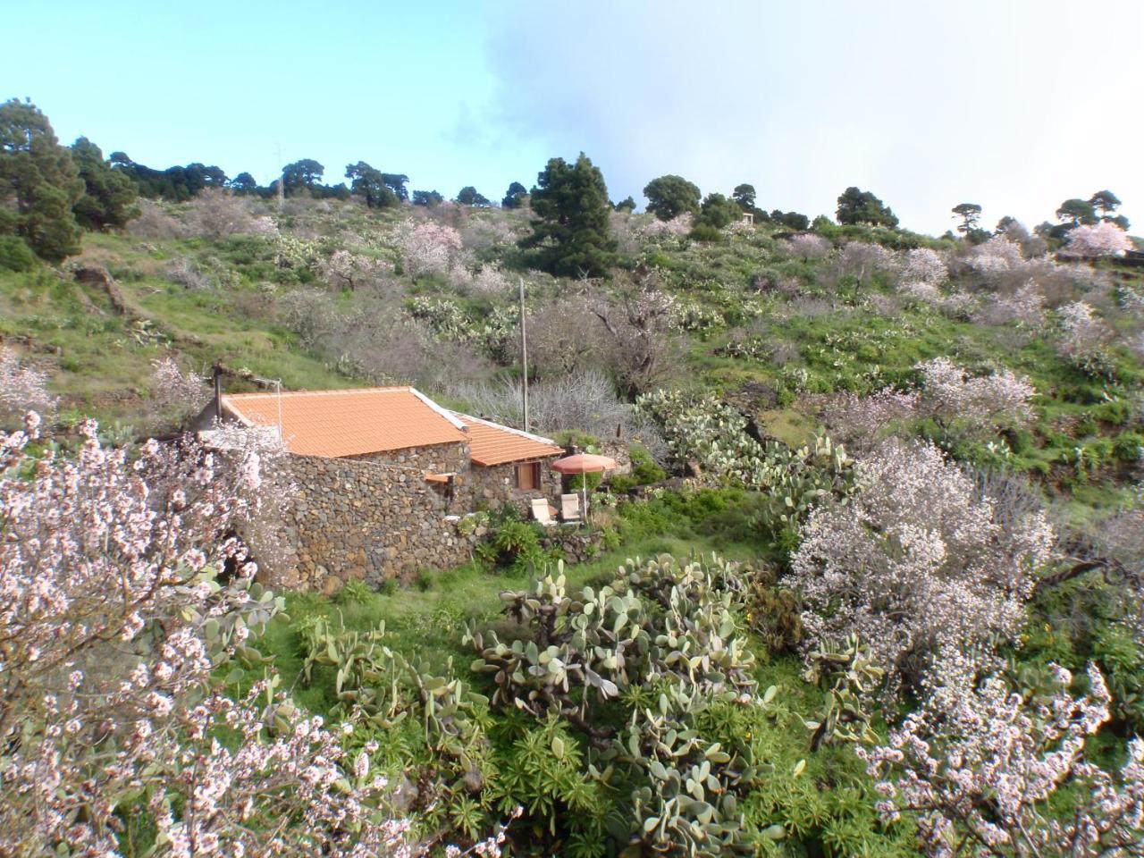 La Jarita * El Pinar (El Hierro)
