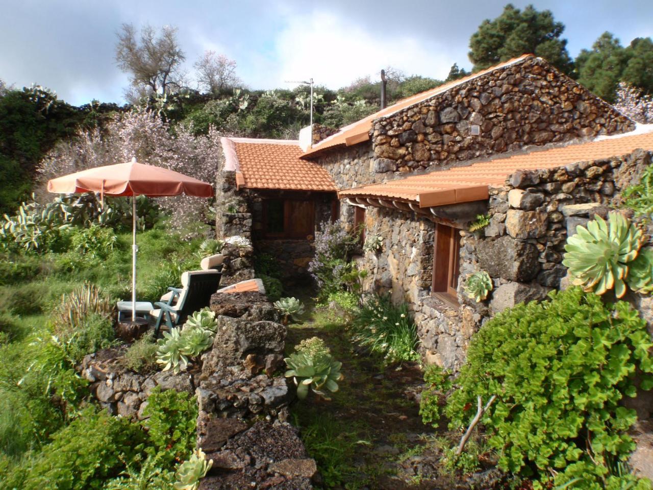 La Jarita *